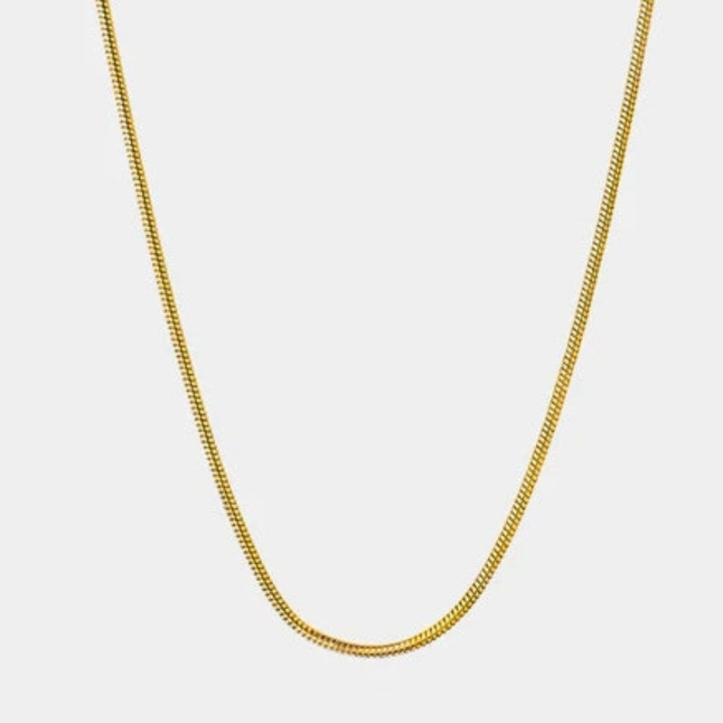 Golden Snake Chain (1.5MM)